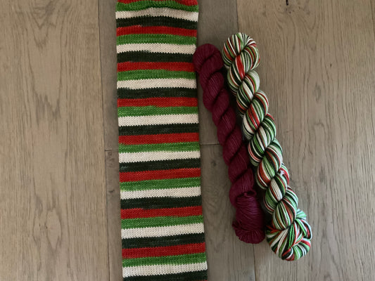 Friends Club- December - Holiday Armadillo - Fingering Self-Striping Sock Set