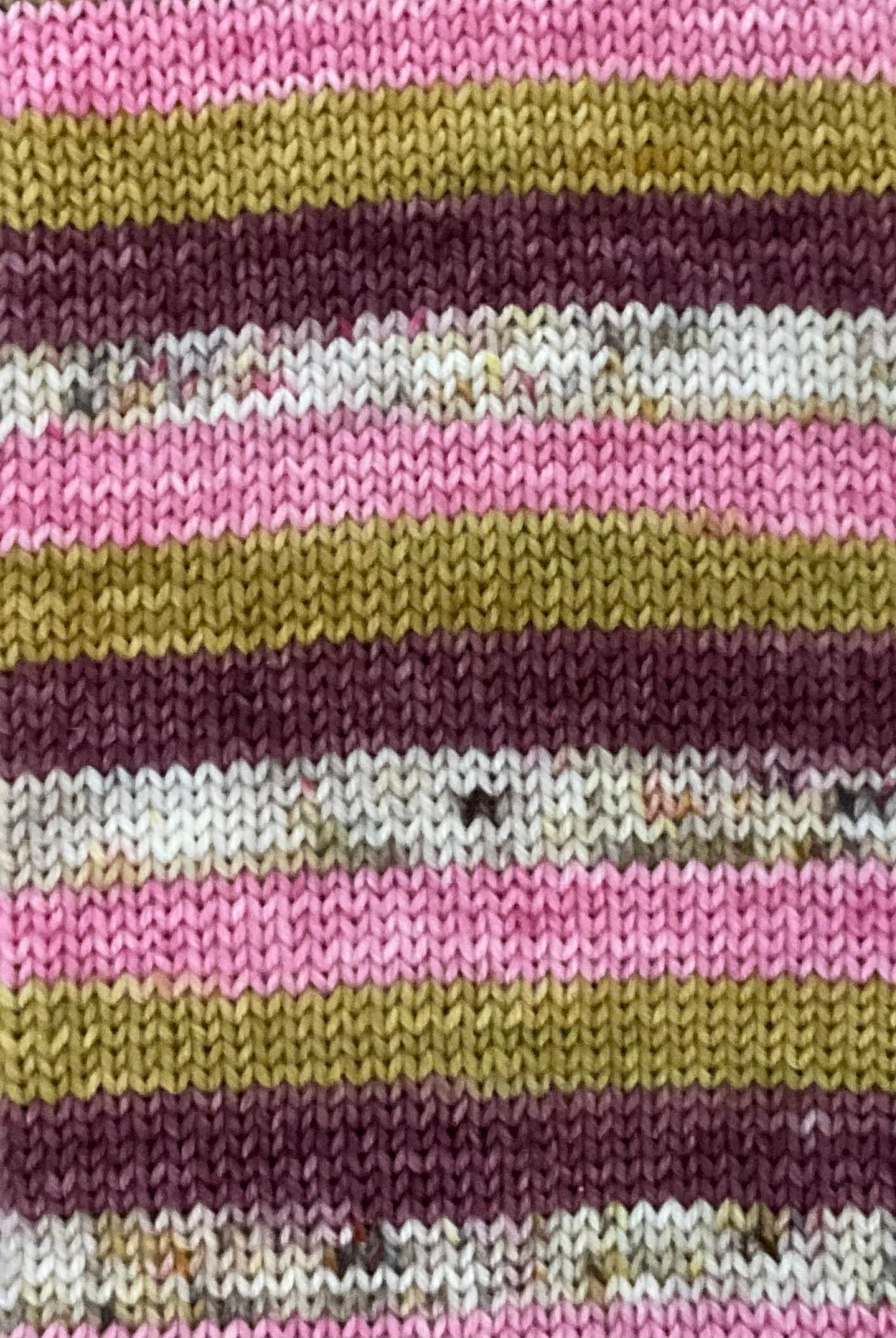 Bee's Knees Fingering Self Striping Sock Set