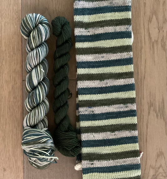 Book Loft Fingering Self-Striping Sock Set