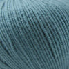 Cascade 220 Superwash - Smoke Blue (Color 204)