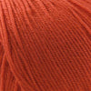 Cascade 220 Superwash - Pumpkin - (822)