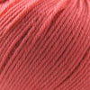 Cascade 220 Superwash - Strawberry Pink - (834)