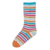 Evolution Cotton Sock Yarn