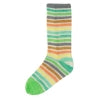Evolution Cotton Sock Yarn