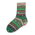 Flotte Socke 4 ply Christmas Sparkle Sock Yarn 2025