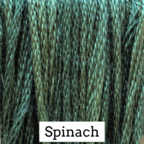 Spinach Classic Colorworks Cotton Thread