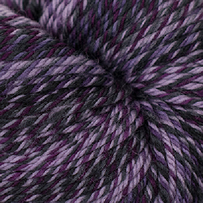 Cascade 220 Superwash Wave - Nightshade (Color 111)