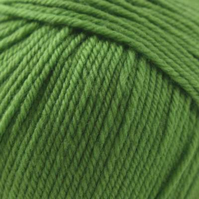 Cascade 220 Superwash - Green Apple (Color 802)