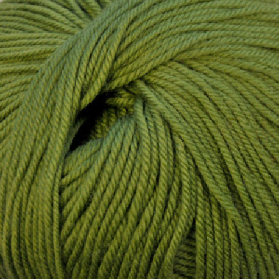 Cascade 220 Superwash - Moss (Color 841)