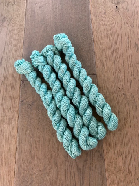 Mini Worsted Frost Skein