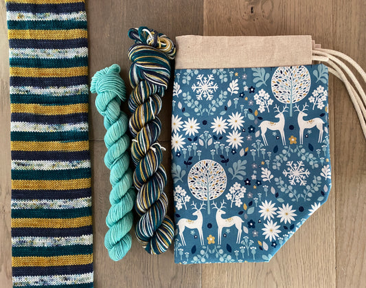 Winter Solstice self striping sock set and Project Bag bag kit
