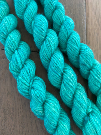 Mini Worsted Pool Skein