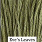 Eve's Leaves Classic Colorworks Cotton Thread