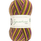 West Yorkshire Spinners Signature 4-Ply - Passionfruit Cooler